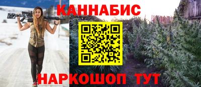 стаф Будённовск