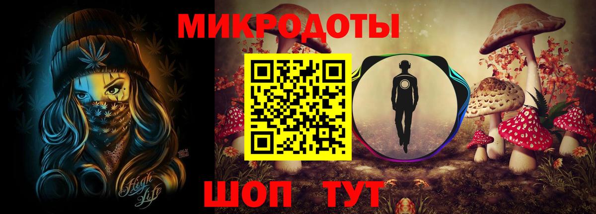 Галлюциногенные грибы Psilocybe Надым